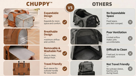 How to Choose the Right Pet Carrier for Your Cat or Small Dog