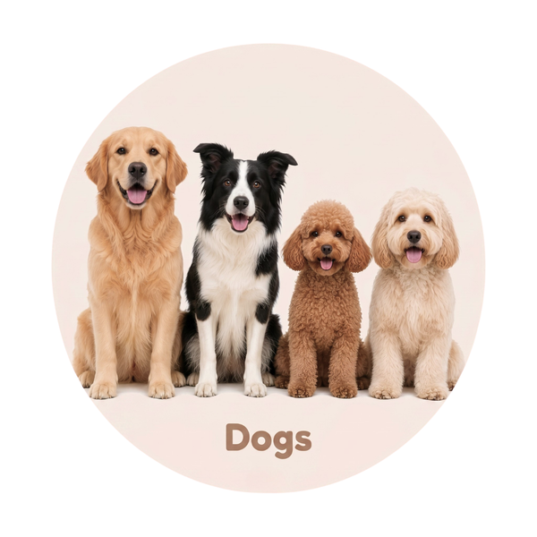 Dogs
